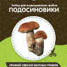 Домашняя грибница "Опята" в Калининграде